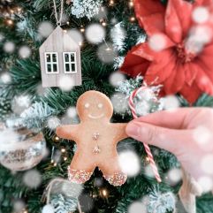 madounne_eminza_noel2020