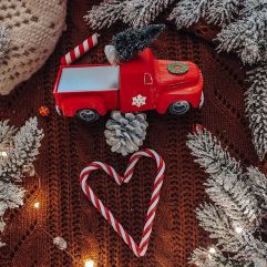 megane_tardieu_eminza_noel2020