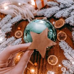 megane_tardieu2_eminza_noel2020