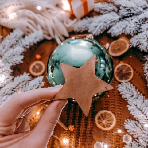 megane_tardieu2_eminza_noel2020