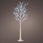 images/product/150/086/0/086048/bouleau-lumineux-wills-micro-led-h150-cm-blanc-froid_86048_1628687572