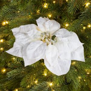 Poinsettia de Noël pailletée  sur clip Blanc