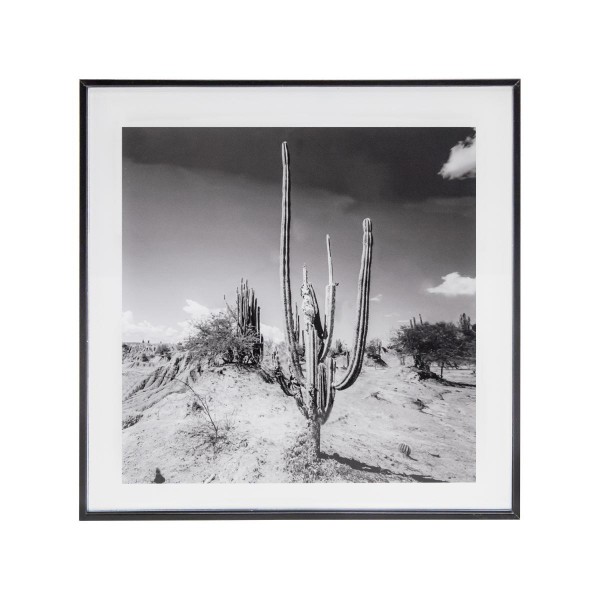 Photo encadrée (28x28) Desert Noir et blanc
