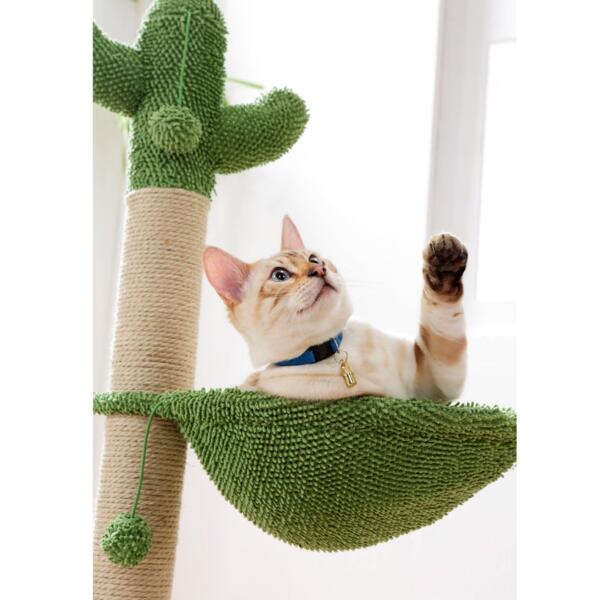 Arbre à chat Cactus avec jouet et hamac Vert