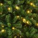 Sapin vert lumineux