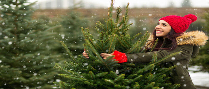 donna che sceglie un albero di Natale
