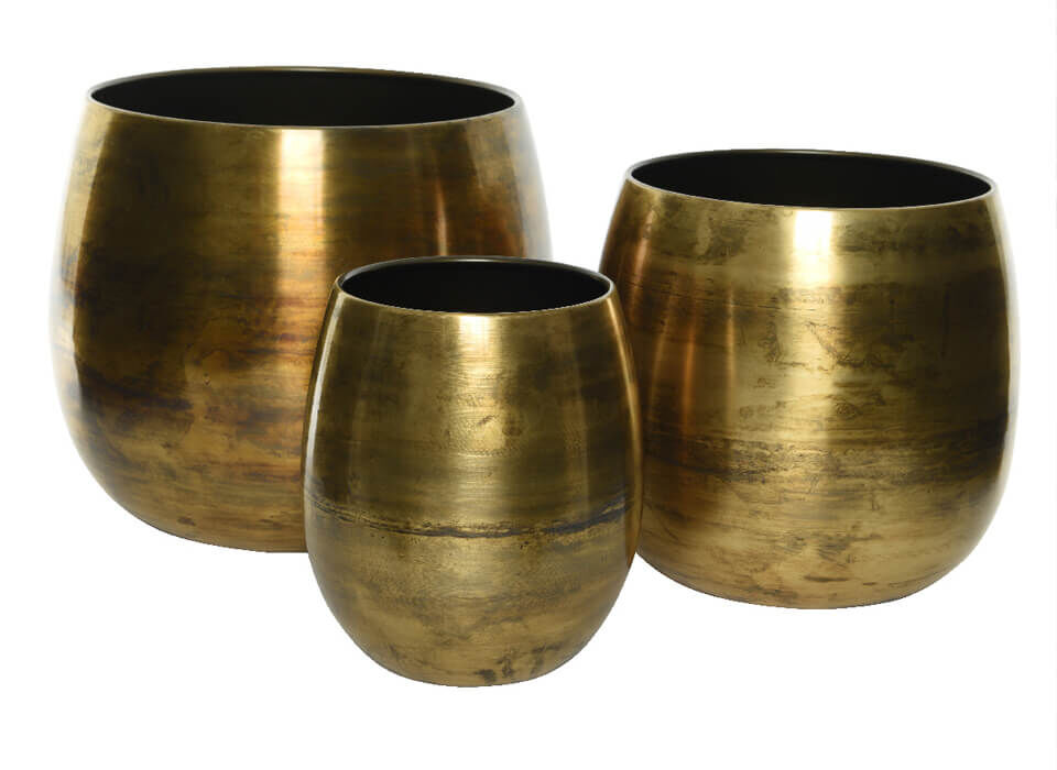 coprivaso design