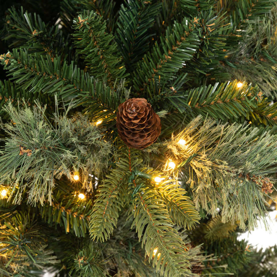 zoom matière sapin étroit lumineux