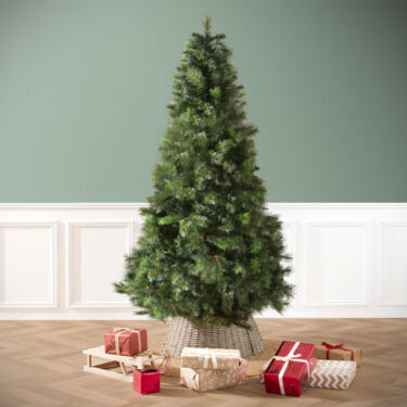 Wann den Weihnachtsbaum aufstellen ?