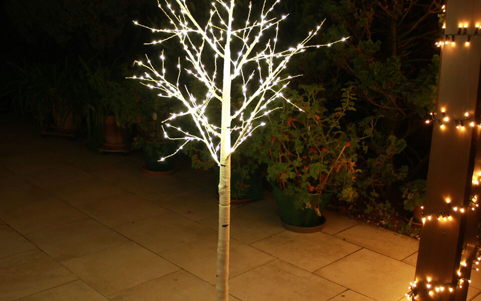 albero illuminato di Natale