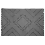 https://cdn2.eminza.com/uploads/cache/legacy_product_150_standard/uploads/media/64fdeddf2c060/tapis-de-salon-170-cm-inca-gris-3