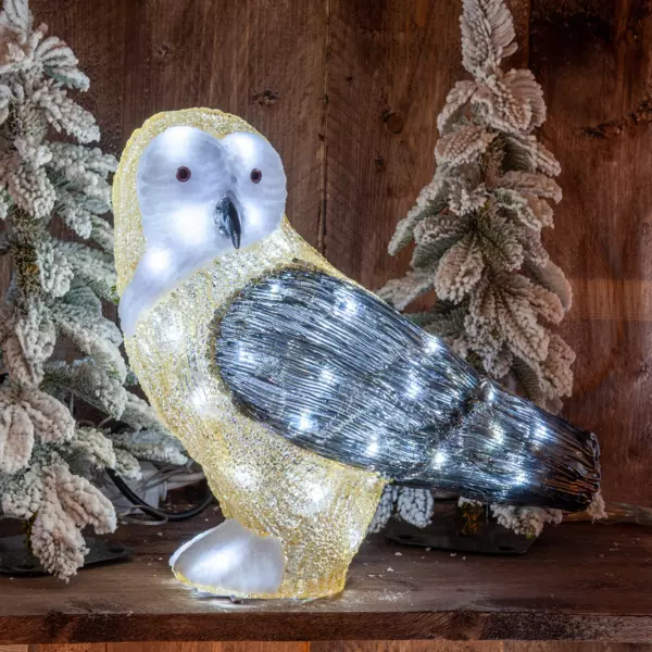 chouette ☆  Chouette Rainbow White Ceramic Crystal Watch – HAUSE TORONTO