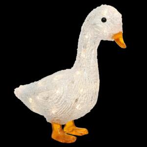 Canard  piles lumineux blanc chaud 30 LED
