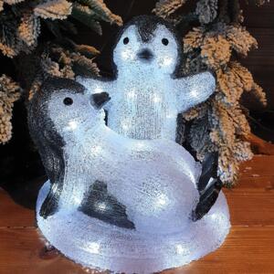 Pingouins Duo lumineux blanc froid 40 LED