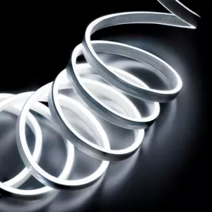 Ruban lumineux 5 m Blanc froid 600 LED
