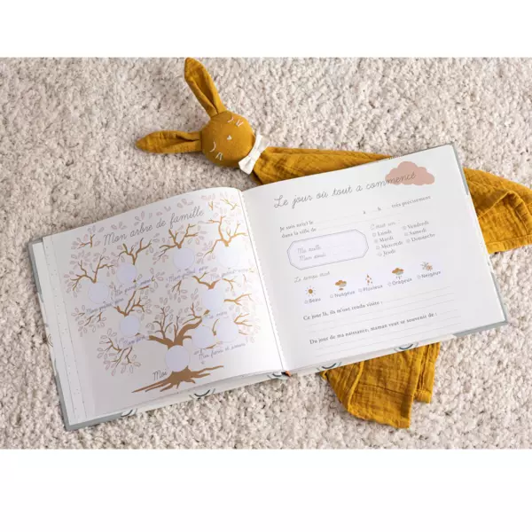 Libro de Nacimiento Arc en ciel Verde