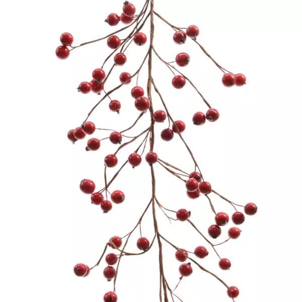 Natuurlijke tak  Gara Rood