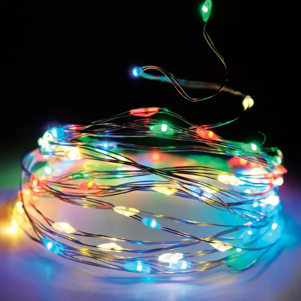 Guirlande lumineuse à piles 5 m 100 Micro LED Fil d'argent Multicolore
