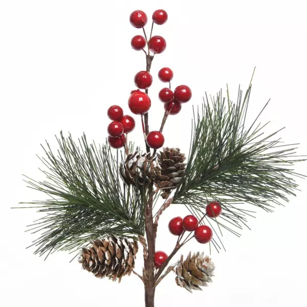 Natuurlijke tak Klervie Rood