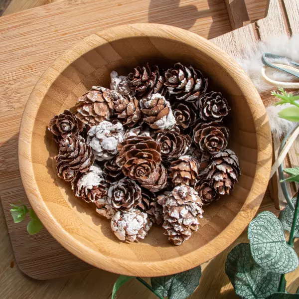 Zakje met dennenappels naturelkleur