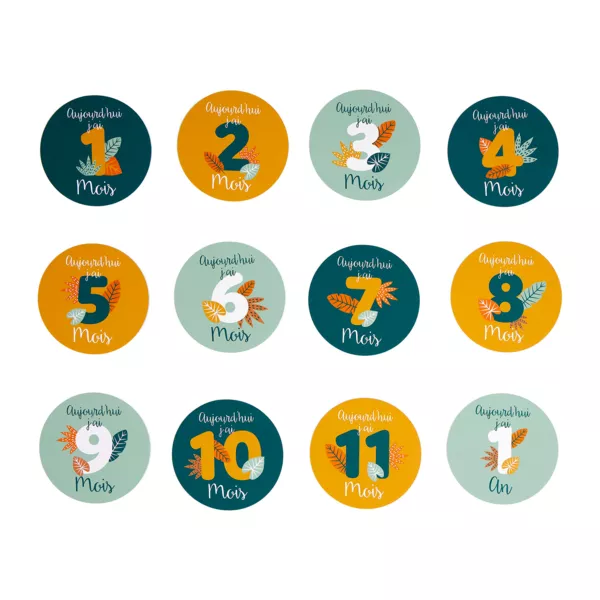 Lote de 12 tarjetas de las etapas del bebé en cartón (10 cm) Mois Multicolor