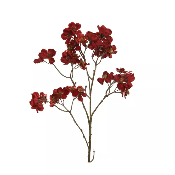 Rama de flores (H78 cm) Cornejo de terciopelo Rojo