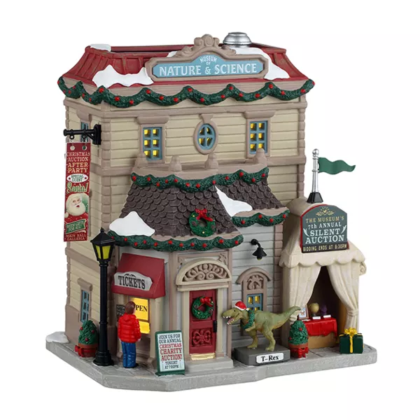 Lemax Kerstdorp Verlicht Natuurwetenschappelijk Museum