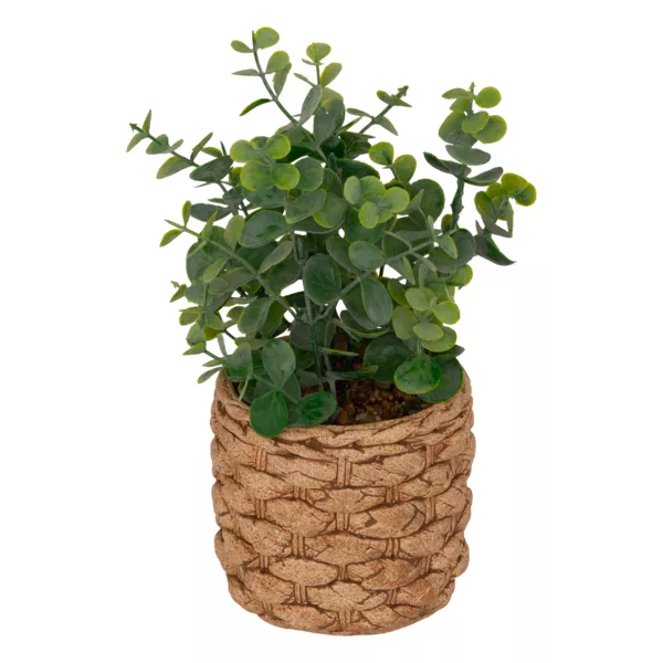Kunstplant in gecementeerde pot (H27 cm) Eucalyptus Jaye
