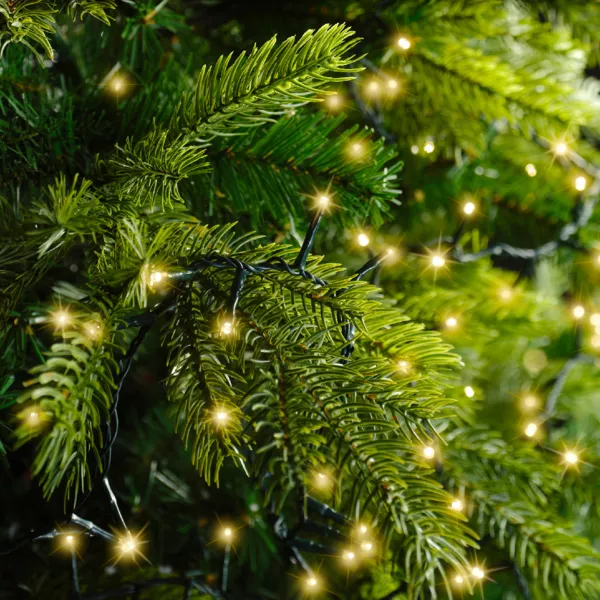 Guirlande lumineuse 60 m 3000 LED câble vert Luxe Blanc chaud Champagne