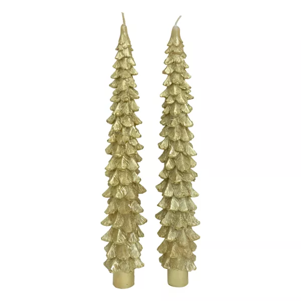 Lote de 2 velas de cera en forma de barra (H25 cm) Abeto Dorado