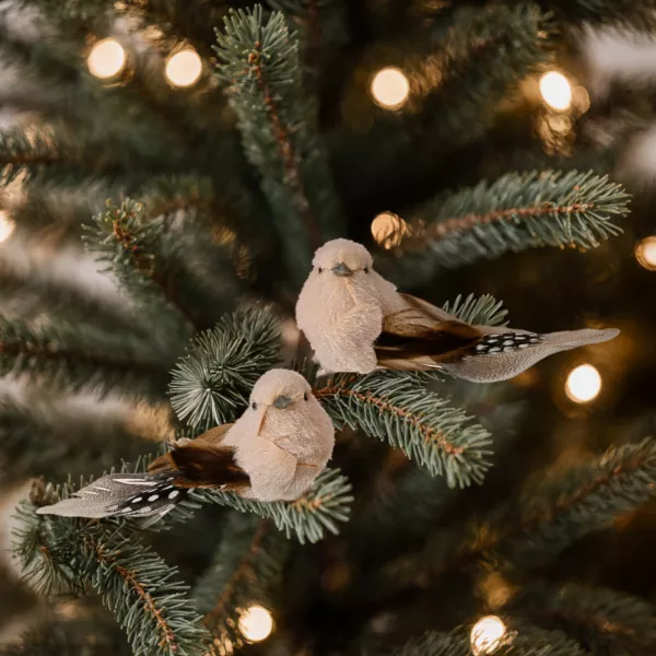 Lot de 2 Oiseaux sur pince (L12 cm) Plume nature Marron et crème