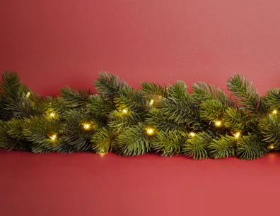 naf-noel-branchesapinlum-396x306.jpg