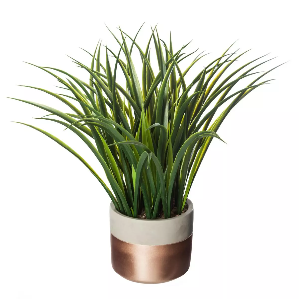 Plante verte en pot Cima Vert 1