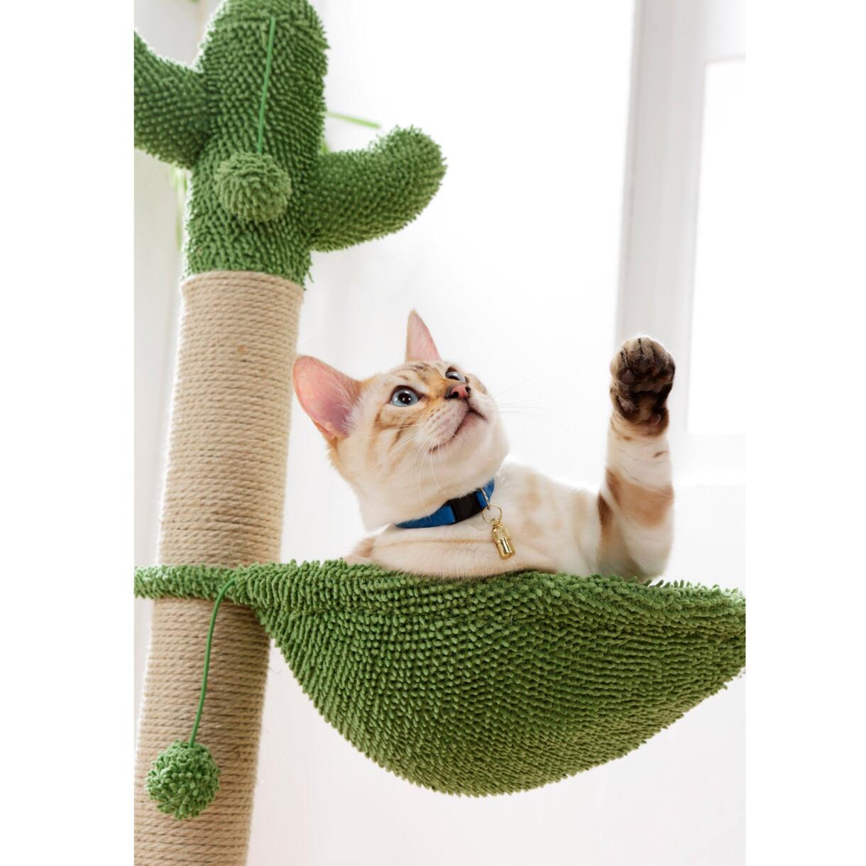 Árbol de cactus para gatos con juguete y hamaca Verde	 1