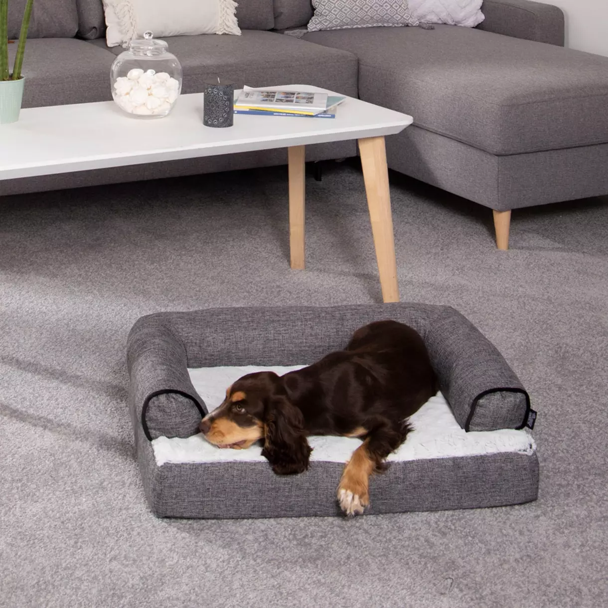 Canapé pour chat et chien Cocoon L70 cm Anthracite 1