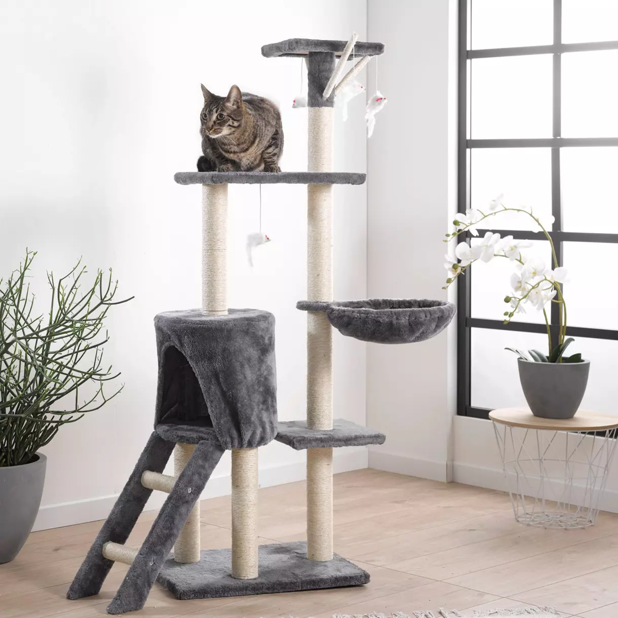 Árbol para gatos con 4 plataformas y 4 juguetes H138 cm Antracita	 1