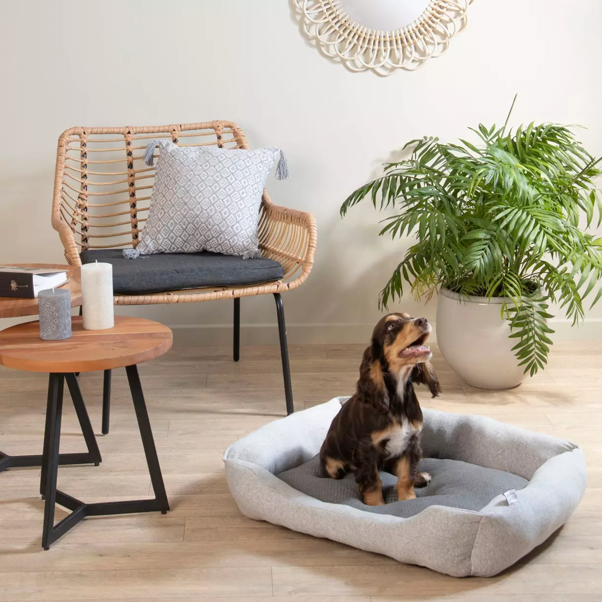Panier rectangle pour chat et chien Graphène L70 cm Gris 1