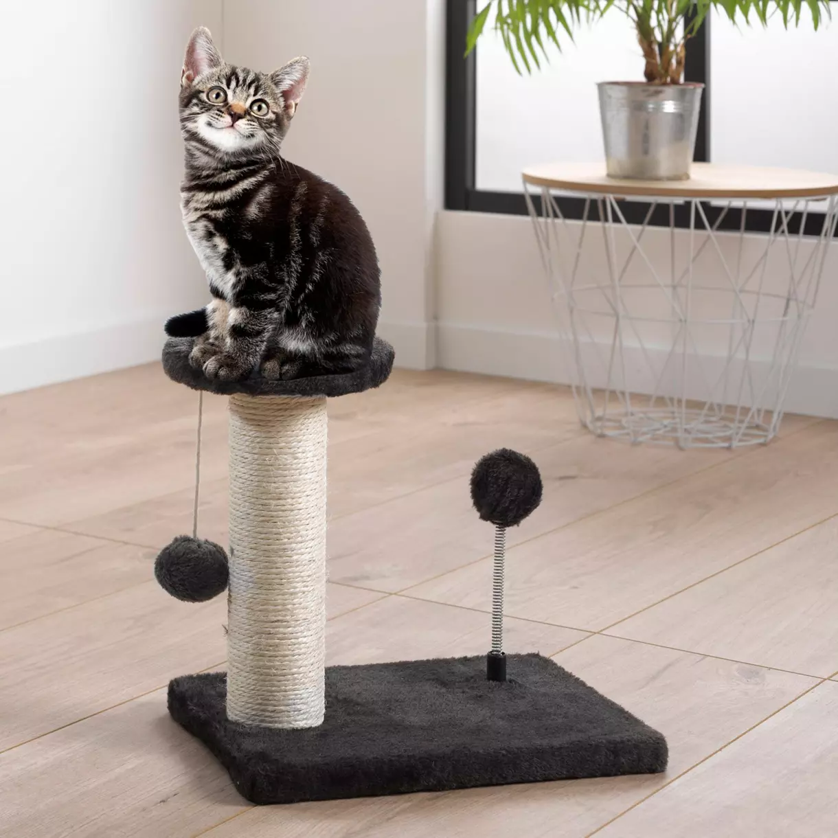 Árbol para gato con juguetes Antrácita 1