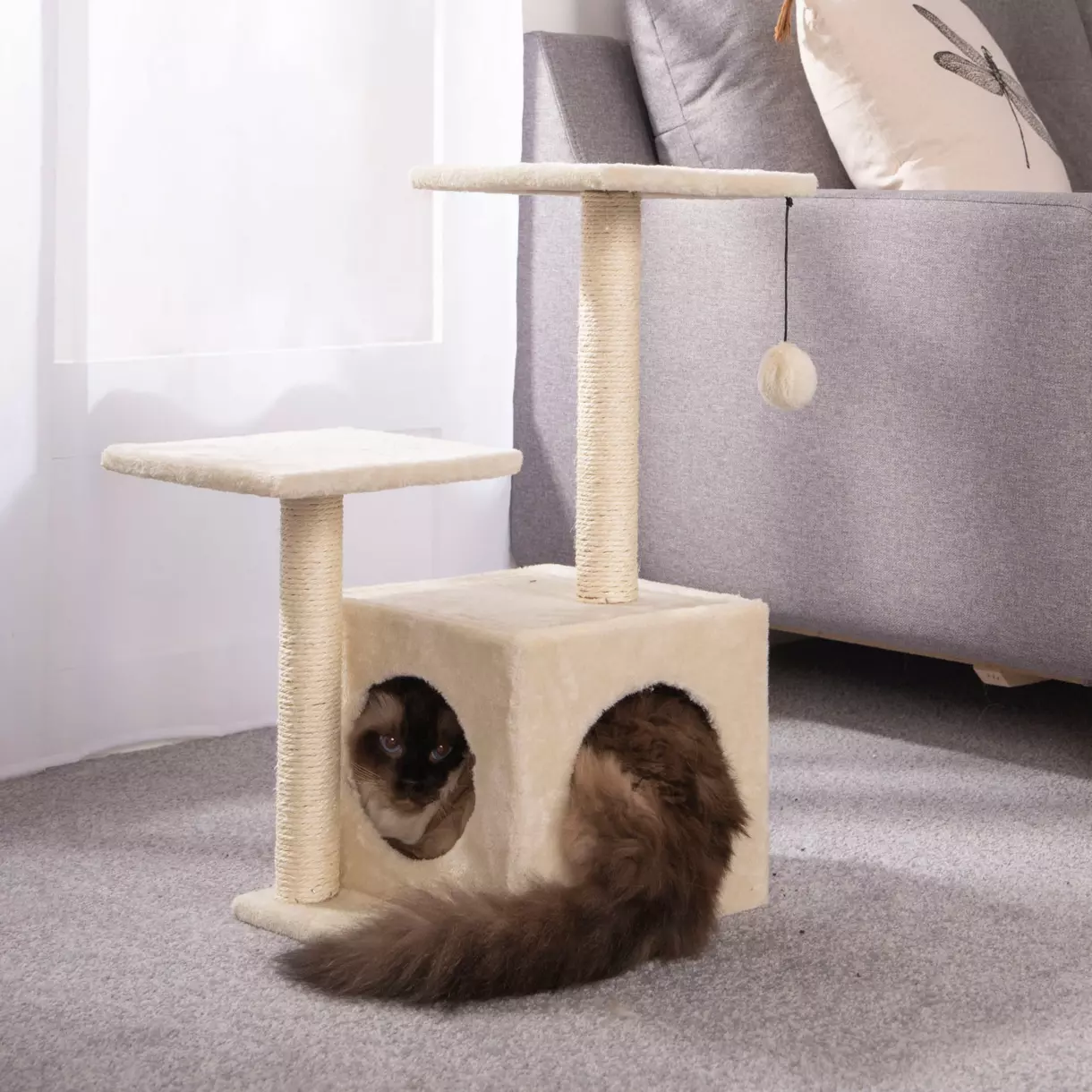 Arbre à chat avec jouet et niche Ecru 1