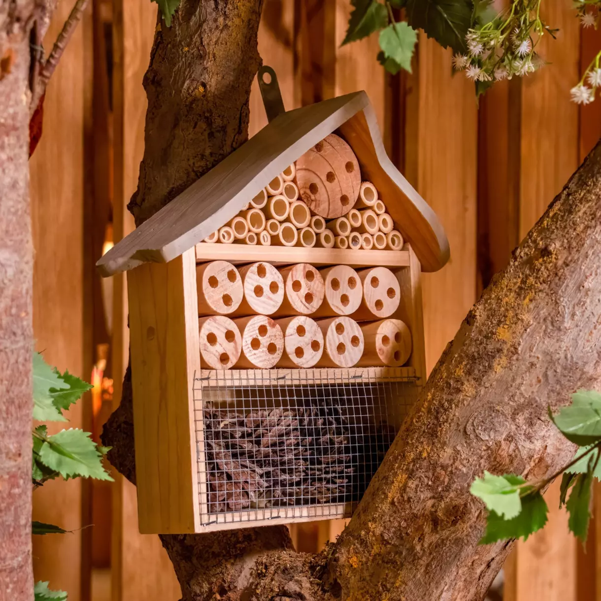 Nido insectos Home Gris 1
