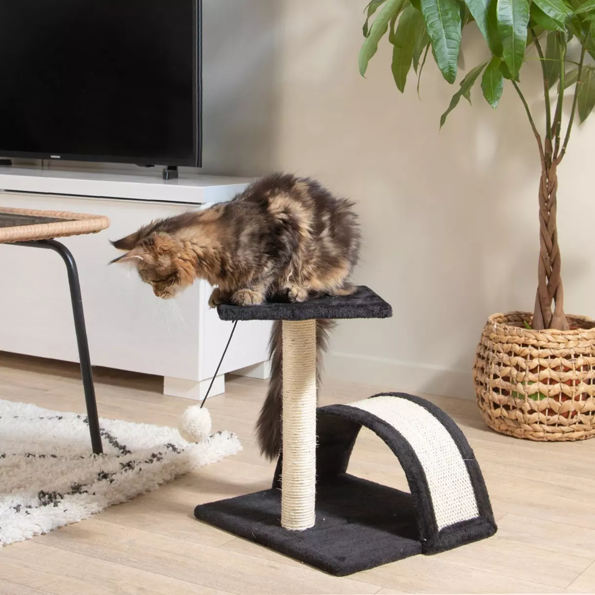 Arbre à chat avec jouet et tunnel Anthracite 1
