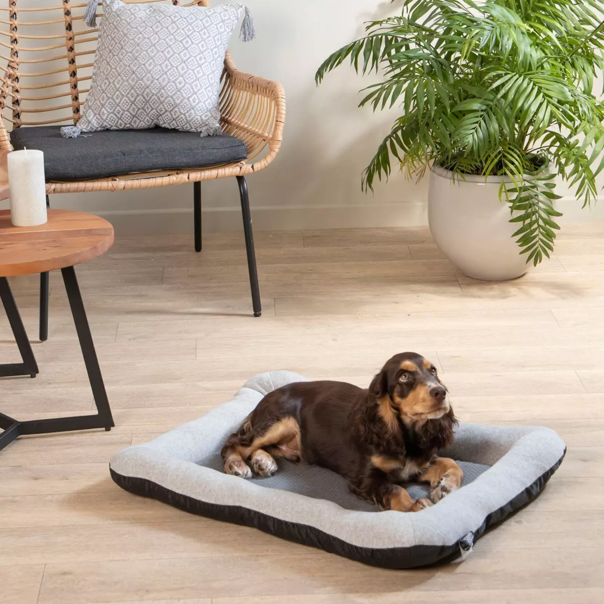 Matelas pour chat et chien Graphène L60 cm Gris 1