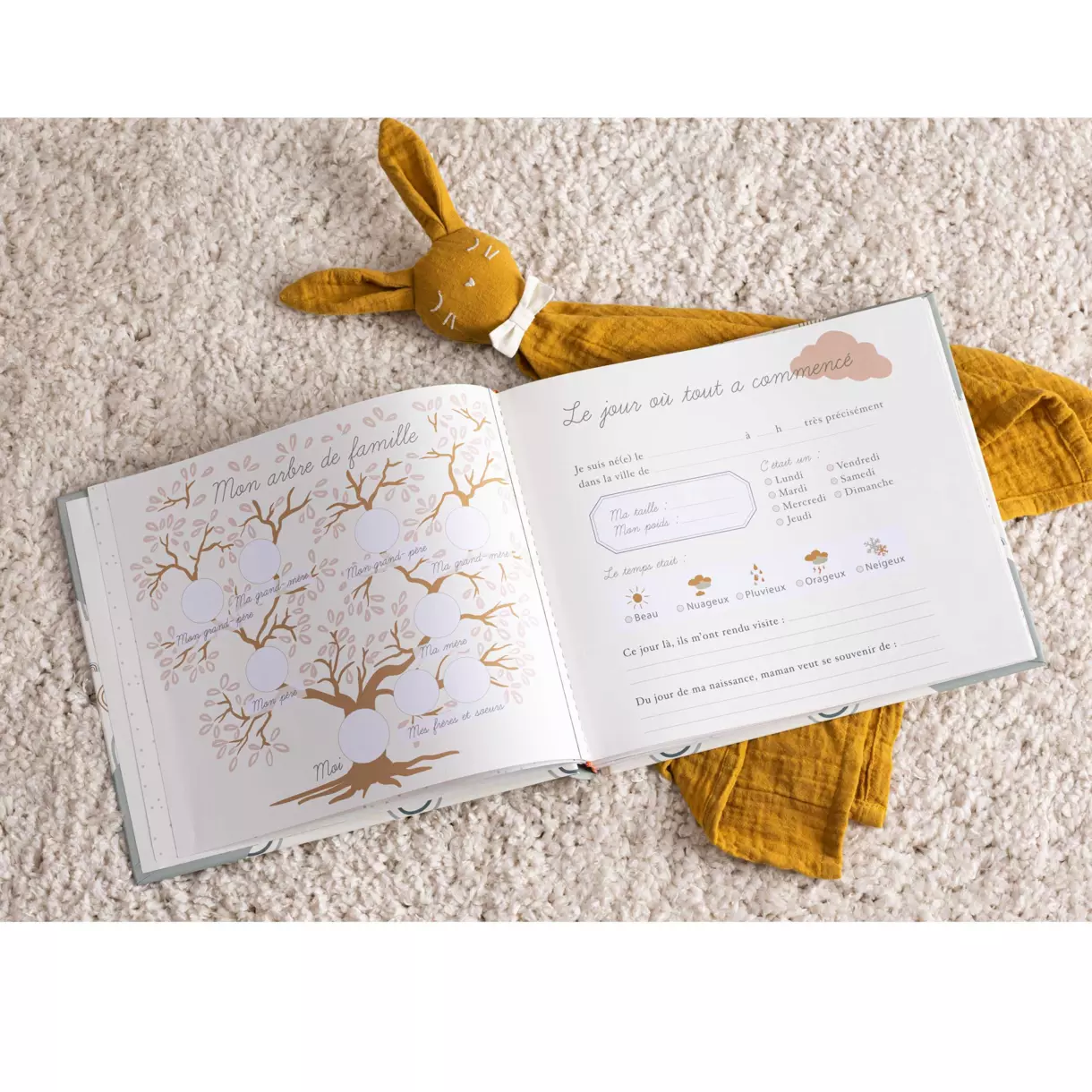 eminza Livre de naissance (24 x 27 cm) Arc en ciel Vert