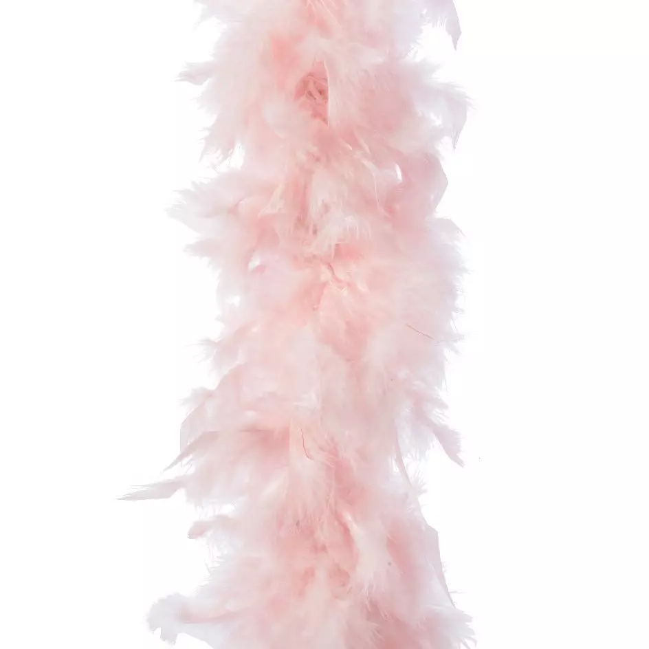 Guirnalda Boa de plumas Deluxe Rosa polvo 1