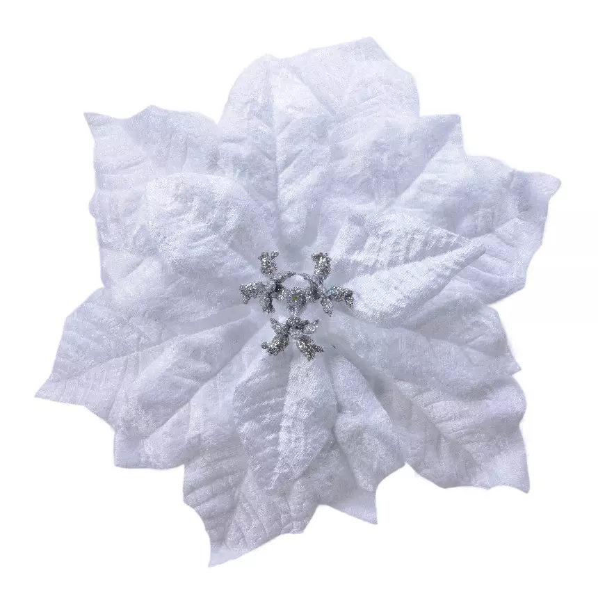 Poinsettia de Noël Giana  sur clip Blanc 1