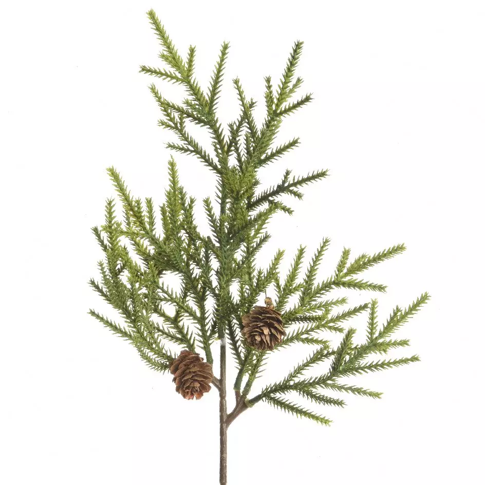 Natuurlijke tak  Anya Groen 1