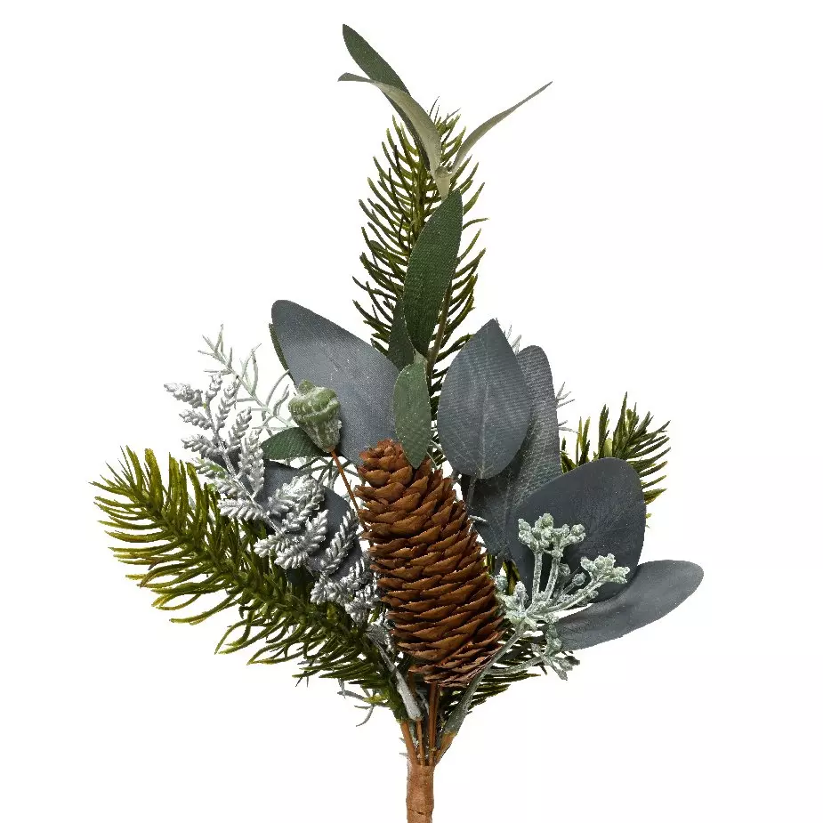 Branche  Eucalyptus Vert 1