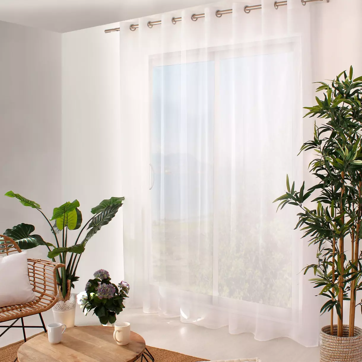 Visillo (300 x Alto  240 cm) Dolly Blanco 1
