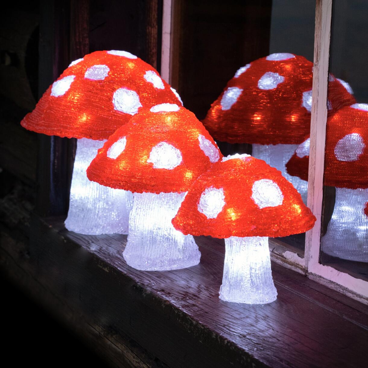 Set van 3 verlichte paddenstoelen Koud wit 72 LED 1