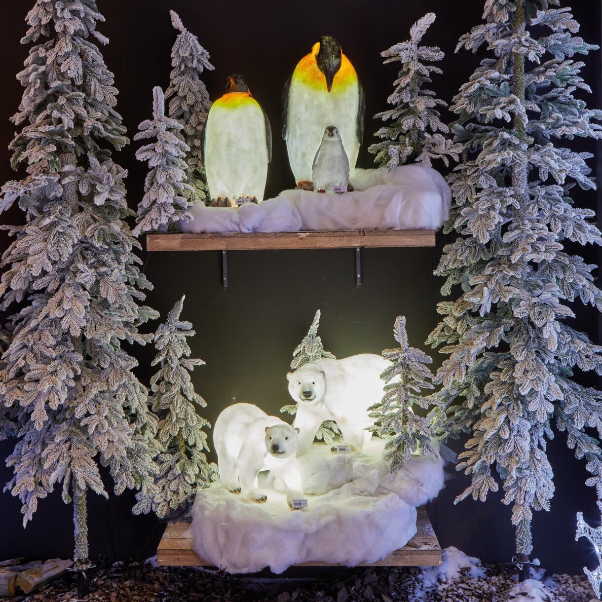 Pinguini luminosi e piccolo Bianco freddo 8 LED 6
